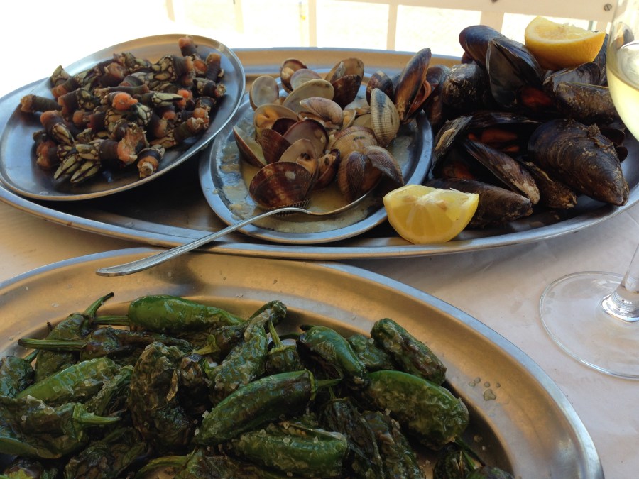 Clockwise, from upper right: Goose barnacles, clams, mussels, Padrón peppers.